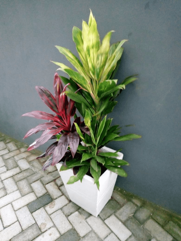 Call: 2347025422201 Or Peter 2348188876528 https://www.bummyla.com