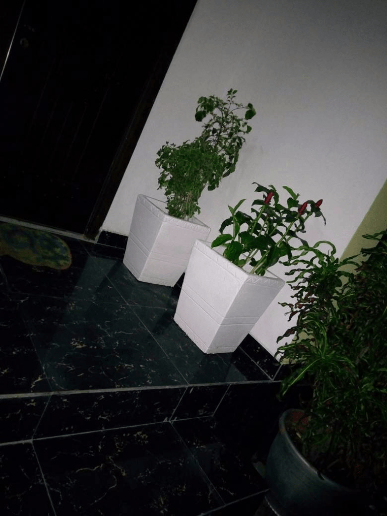 Call: 2347025422201 Or Peter 2348188876528 Email: bummyla@gmail.com https://www.bummyla.com