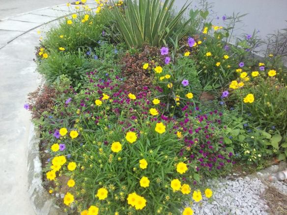 For Your Horticulture Services Call: 2347025422201 Or Peter 2348188876528 Email: bummyla@gmail.com https://www.bummyla.com