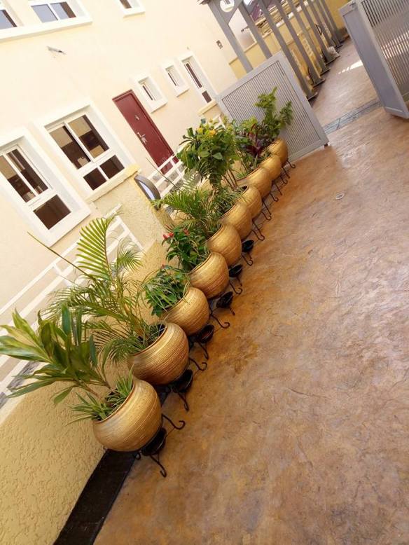 For Your Home Garden Horticultural Services. Call: 2347025422201  Or Peter 2348188876528  Email: bummyla@gmail.com https://www.bummyla.com 