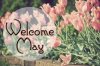 Welcome To The Month Of May. Happy New Month.
