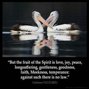 Galatians_5-22: But the fruit of the Spirit is love, joy, peace, longsuffering, gentleness, goodness, faith