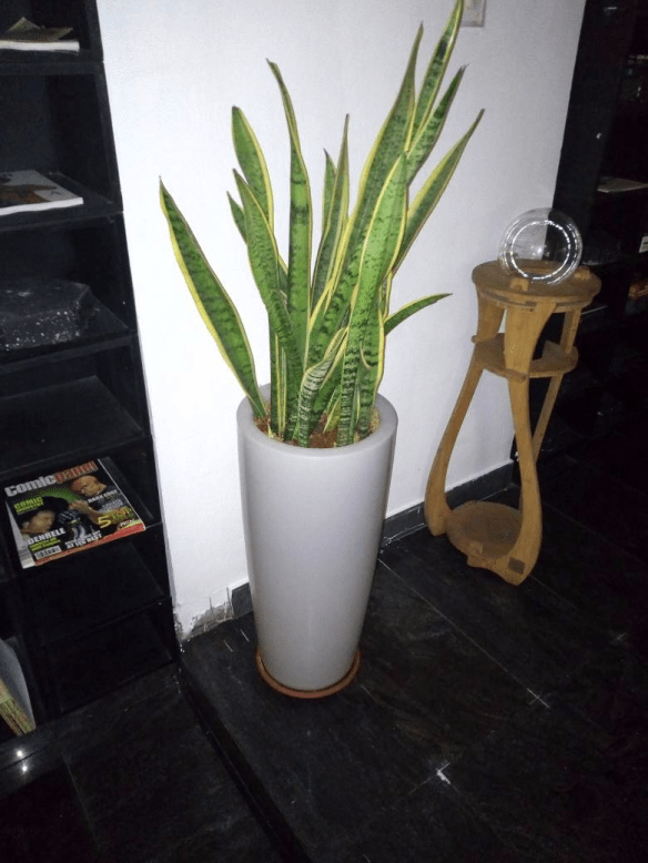 Call: 2347025422201 Or Peter 2348188876528 Email: bummyla@gmail.com https://www.bummyla.com 