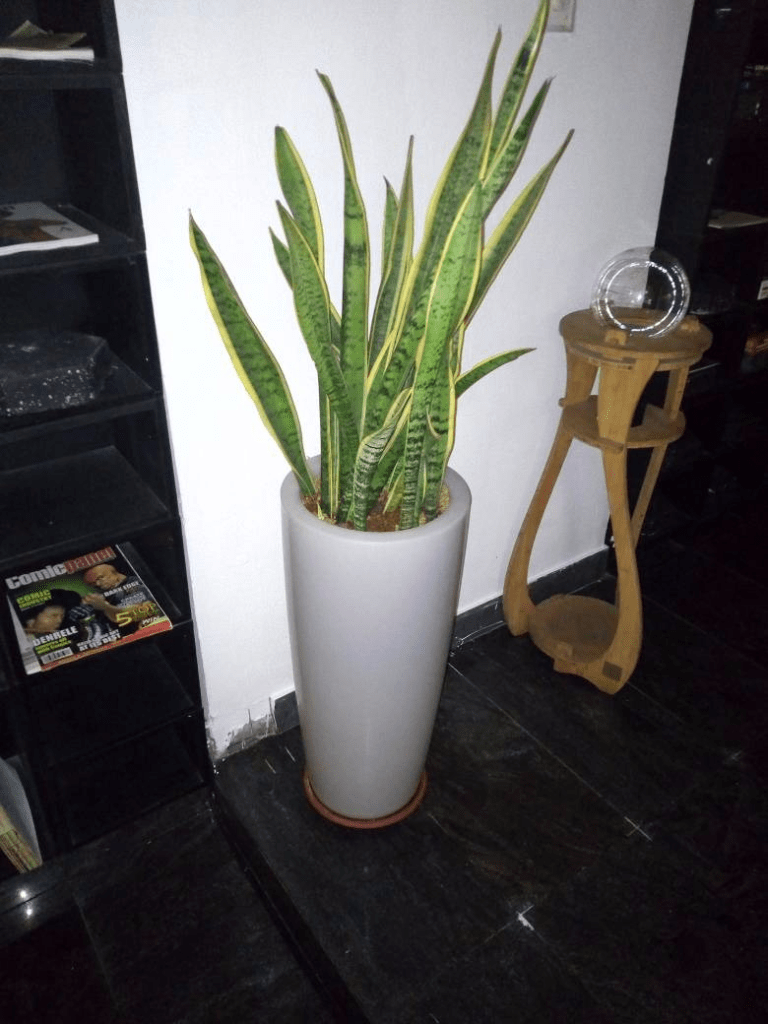 Call: 2347025422201 Or Peter 2348188876528 Email: bummyla@gmail.com https://www.bummyla.com