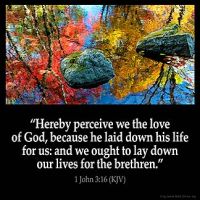 1-John_3-16-2: Hereby perceive we the love of God, because he laid down his life for us: and we ought to lay down our lives for the brethren.