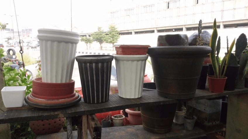 Call: 2347025422201 Or Peter 2348188876528 Email: bummyla@gmail.com https://www.bummyla.com