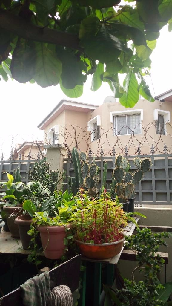 Call: 2347025422201 Or Peter 2348188876528 Email: bummyla@gmail.com https://www.bummyla.com