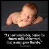 1-Peter_2-2:As newborn babes, desire the sincere milk of the word, that ye may grow thereby