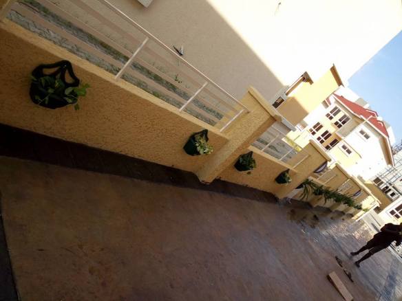 For Your Home Garden Horticultural Services. Call: 2347025422201  Or Peter 2348188876528  Email: bummyla@gmail.com https://www.bummyla.com 