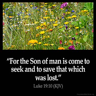 Luke_19-10: For the Son of man is come to seek and to save that which was lost.