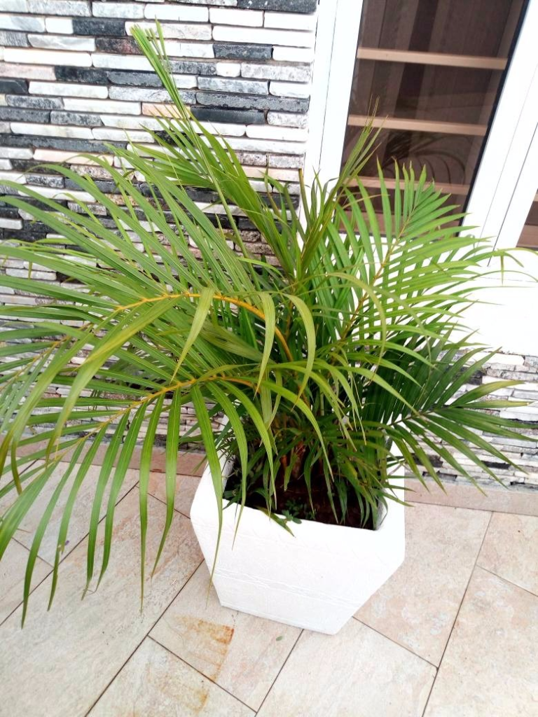 Call: 2347025422201 Or Peter 2348188876528 Email: bummyla@gmail.com https://www.bummyla.com