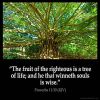 Proverbs_11-30: The fruit of the righteous is a tree of life; and he that winneth souls is wise