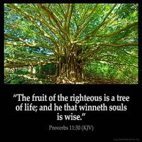 Proverbs_11-30: The fruit of the righteous is a tree of life; and he that winneth souls is wise