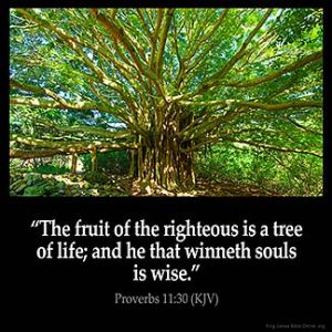 Proverbs_11-30: The fruit of the righteous is a tree of life; and he that winneth souls is wise