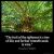 Proverbs_11-30: The fruit of the righteous is a tree of life; and he that winneth souls is wise