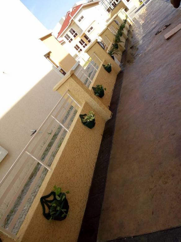 For Your Home Garden Horticultural Services. Call: 2347025422201  Or Peter 2348188876528  Email: bummyla@gmail.com https://www.bummyla.com 