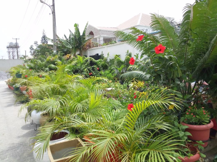 For Your General Garden Maintenance. Call: 2347025422201 Or Peter 2348188876528 https://www.bummyla.com