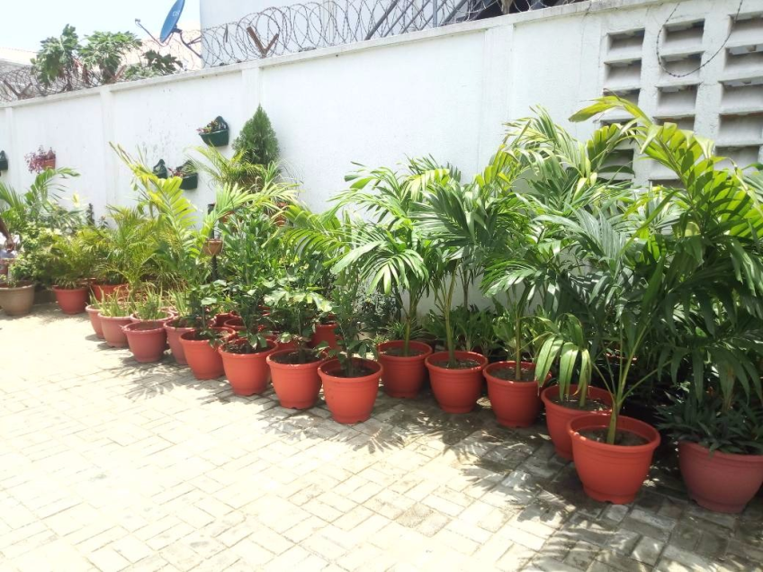 For Your Lekki Garden Maintenance Services. Call: 2347025422201 Or Peter 2348188876528 Email: bummyla@gmail.com https://www.bummyla.com