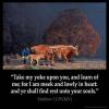 Matthew_11-29: Take my yoke upon you, and learn of me; for I am meek and lowly in heart: and ye shall find rest unto your souls.