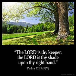 Psalms_121-5: The LORD is thy keeper: the LORD is thy shade upon thy right hand.