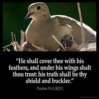Psalms_91-4: He shall cover thee with his feathers, and under his wings shalt thou trust: his truth shall be thy shield and buckler.