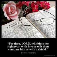 Psalms_5-12-1: For thou, LORD, wilt bless the righteous; with favour wilt thou compass him as with a shield.