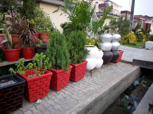 For Your Horticulture Services Call: 2347025422201 Or Peter 2348188876528 Email: bummyla@gmail.com https://www.bummyla.com