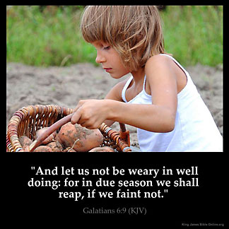 Galatians_6-9: And let us not be weary in well doing: for in due season we shall reap, if we faint not