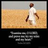 Psalms_26-2: Examine me, O LORD, and prove me; try my reins and my heart.
