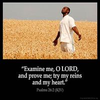 Psalms_26-2: Examine me, O LORD, and prove me; try my reins and my heart.