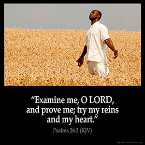 Psalms_26-2: Examine me, O LORD, and prove me; try my reins and my heart.