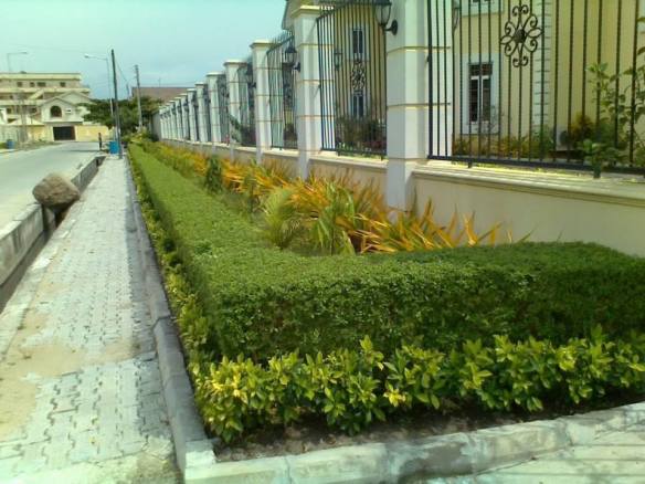 For Your Horticulture Services Call: 2347025422201  Or Peter 2348188876528  Email: bummyla@gmail.com https://www.bummyla.com 