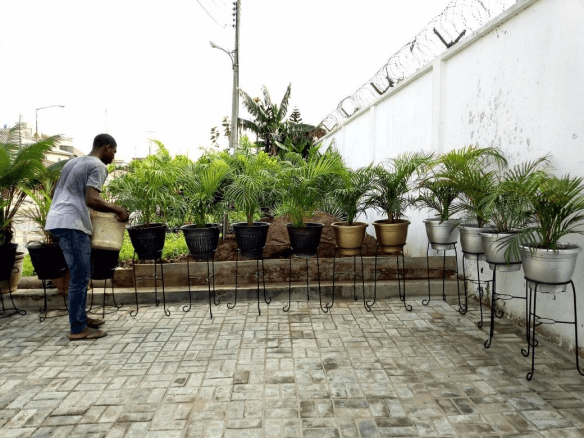 Call: 2347025422201 Or Peter 2348188876528 Email: bummyla@gmail.com https://www.bummyla.com 