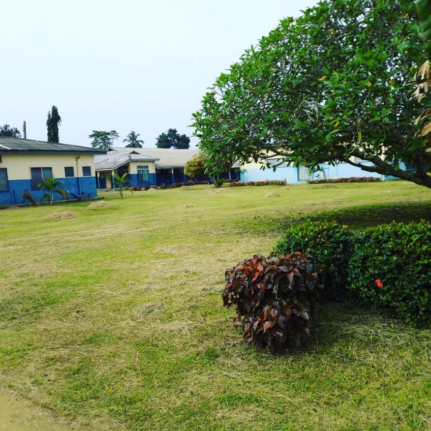 For Your Landscaping And Horticulture In Lekki Phase 1, Lagos, Lagos State Nigeria: Call: 2347025422201 Or Peter 2348188876528 Email: bummyla@gmail.com https://www.bummyla.com