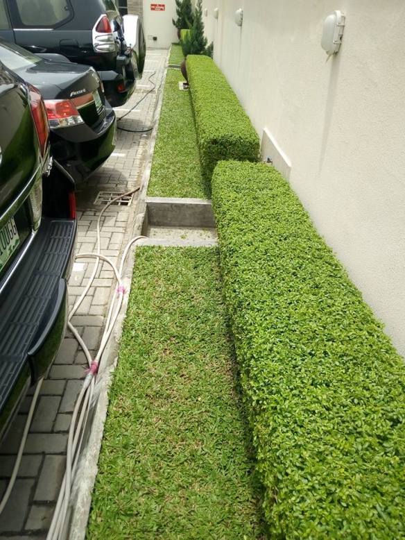 For Your Home Garden Horticultural Services. Call: 2347025422201  Or Peter 2348188876528  Email: bummyla@gmail.com https://www.bummyla.com 