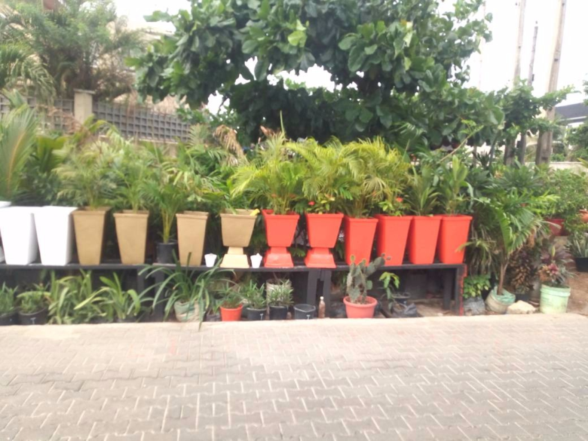 Call: 2347025422201 Or Peter 2348188876528 Email: bummyla@gmail.com https://www.bummyla.com