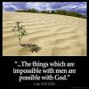 Luke_18-27: And he said, The things which are impossible with men are possible with God