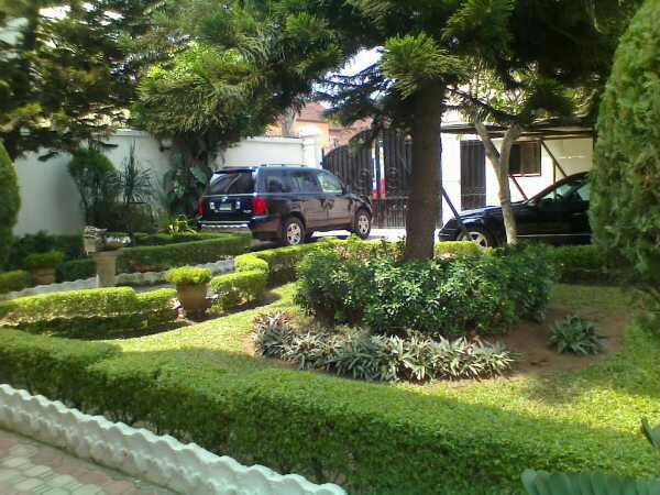For Your Horticulture Services Call: 2347025422201 Or Peter 2348188876528 Email: bummyla@gmail.com https://www.bummyla.com