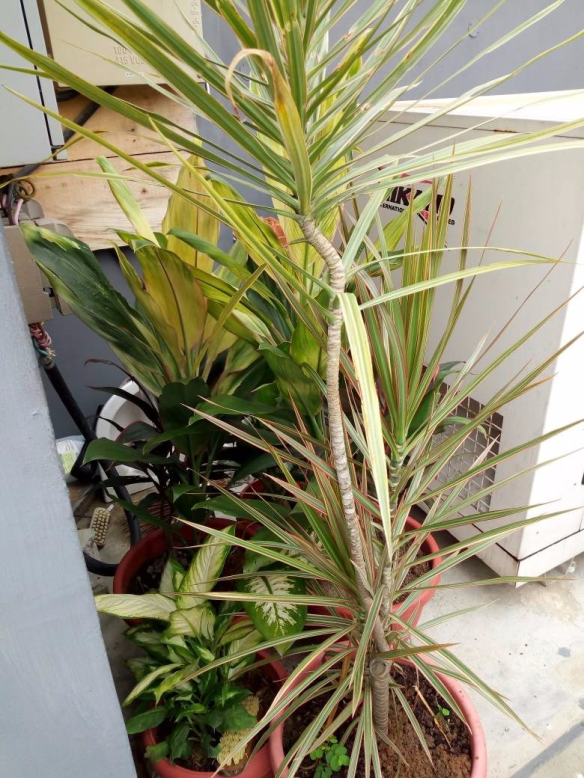 Call: 2347025422201 Or Peter 2348188876528 Email: bummyla@gmail.com https://www.bummyla.com