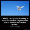 Matthew_10-16: Behold, I send you forth as sheep in the midst of wolves: be ye therefore wise as serpents, and harmless as doves