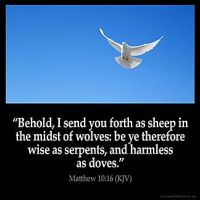 Matthew_10-16: Behold, I send you forth as sheep in the midst of wolves: be ye therefore wise as serpents, and harmless as doves