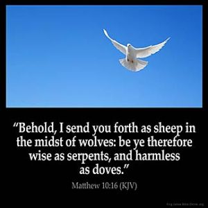 Matthew_10-16: Behold, I send you forth as sheep in the midst of wolves: be ye therefore wise as serpents, and harmless as doves