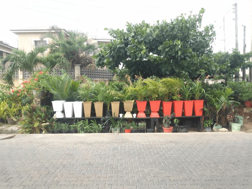 Call: 2347025422201 Or Peter 2348188876528 Email: bummyla@gmail.com https://www.bummyla.com