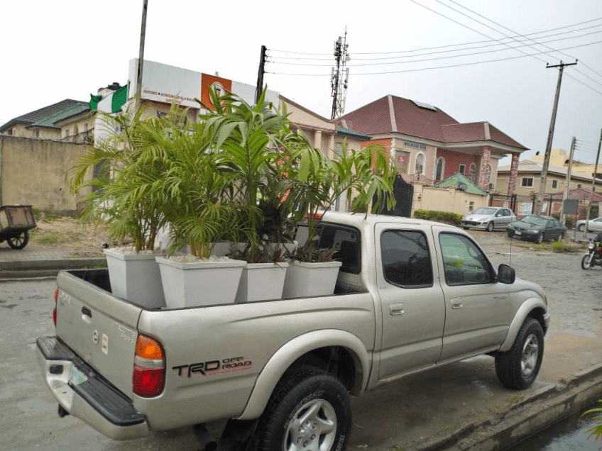 Call For Your Horticulturist: Call: 2347025422201 Or Peter 2348188876528 Email: bummyla@gmail.com https://www.bummyla.com