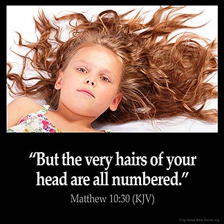 Matthew_10-30: But the very hairs of your head are all numbered.
