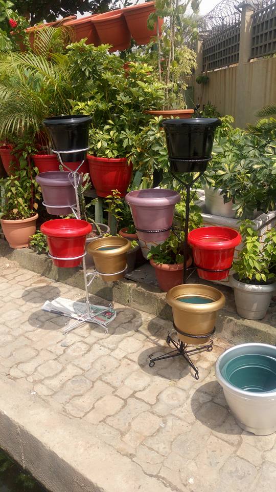 For Your Horticulture Services Call: 2347025422201  Or Peter 2348188876528  Email: bummyla@gmail.com https://www.bummyla.com 