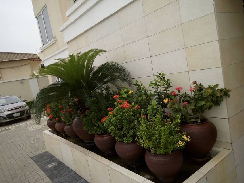 For Your Home Garden Horticultural Services. Call: 2347025422201 Or Peter 2348188876528 Email: bummyla@gmail.com https://www.bummyla.com