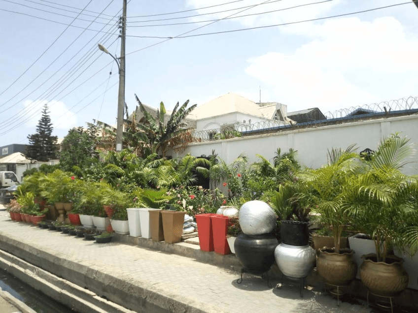 For Your Lekki Garden Maintenance Services. Call: 2347025422201 Or Peter 2348188876528 Email: bummyla@gmail.com https://www.bummyla.com