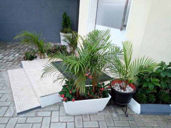 For Your Home Garden Horticultural Services. Call: 2347025422201  Or Peter 2348188876528  Email: bummyla@gmail.com https://www.bummyla.com 