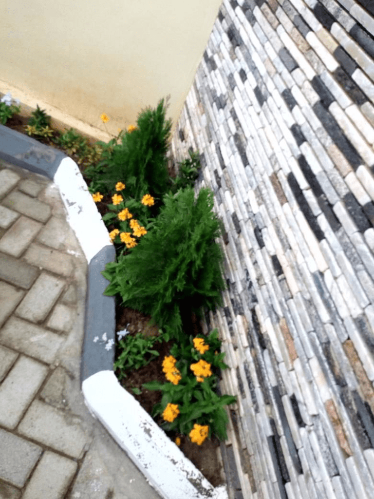 Call: 2347025422201 Or Peter 2348188876528 Email: bummyla@gmail.com https://www.bummyla.com